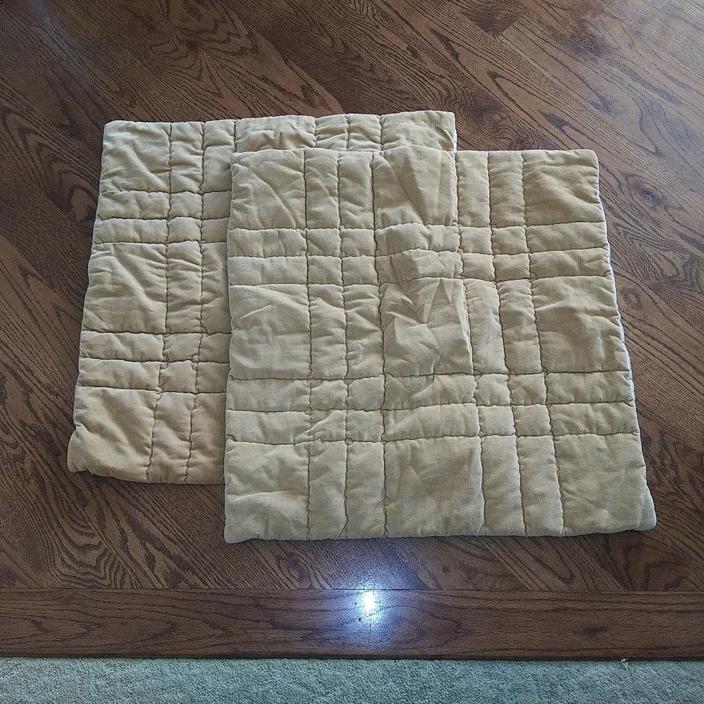 Pottery Barn Gold Wheat Color Square Shams